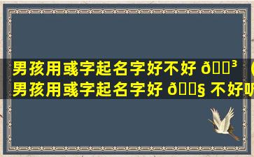 男孩用彧字起名字好不好 🐳 （男孩用彧字起名字好 🐧 不好听）